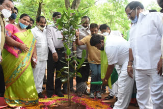 మేడ్చల్​లో హరితహారం