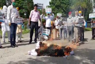 Sri Anandpur Sahib: AAP burns effigy in protest against farmers' ordinances