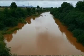 heavy rainfall in dharmavaram