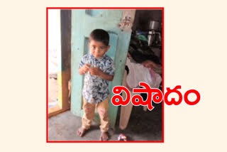 6-years-old-boy-died-in-falling-under-a-tractor-at-seethanagaram-village-munagala-suryapet-district