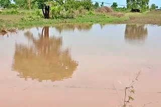 crop-damage-due-to-heavy-rain-hingoli