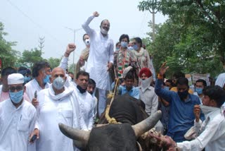 karnal congress protest