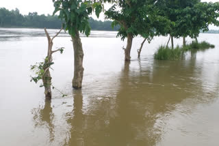 flood situation in Tapan