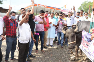 Congress's unique protest in Sehore