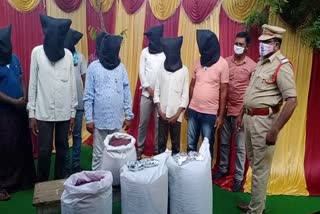 Police seize 140kgs of fake cotton seeds