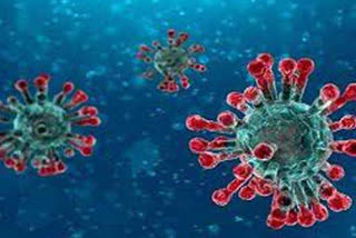 چین میں کورونا وائرس کے 19 نئے معاملے