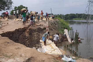 repair kulik dam in raiganj