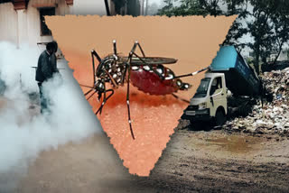 raigarh dengue news