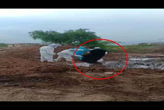 Mass burial  Karnataka  Ballary  COVID-19  COVID-19 bodies  കര്‍ണാടകയില്‍ കൊവിഡ് രോഗികളുടെ മൃതദേഹങ്ങള്‍ കൂട്ടമായി സംസ്‌കരിച്ചു  കര്‍ണാടക  ബെല്ലാരി  കൊവിഡ് 19