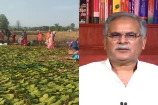 chief-minister bhupesh baghel