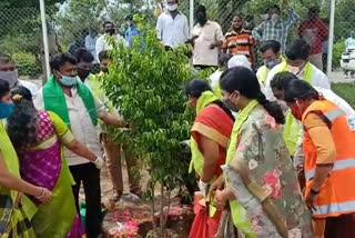 minister talasani participated haritha haram program at uppal in hyderabad