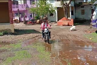 Due to rain, pond water is accumulating in the colonies