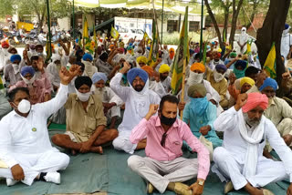 BKU protests against ordinance passed by Union government Protesters staged a sit-in