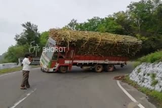 Lorry palti