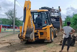 Truck seized with 30 cattle in Sauncer