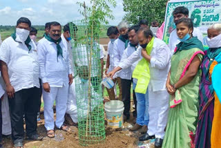 mla manik rao attended in haritha haaram program