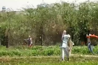 Locust party reached Hasanpur village of Palwal