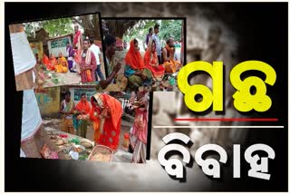 ନିଆରା ବିବାହ ,ବୃକ୍ଷ ବାହାଘର