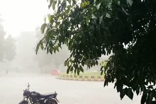 Heavy rain in Jamshedpur, rain in Jamshedpur, rain in jharkhand, जमशेदपुर में जमकर हुई बारिश, जमशेदपुर में बारिश, झारखंड में बारिश