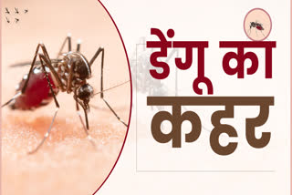 dengue in uttarakhand