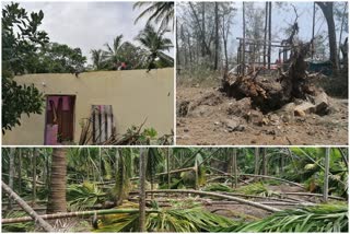raigad latest news  nisarga cyclone effect on raigad  damaged area due to cyclone  govt help for raigad  निसर्ग चक्रीवादळाचा रायगडवर परिणाम  रायगड लेटेस्ट न्यूज  सरकारची रायगडला मदत  रायगडमधील नुकसागग्रस्त भाग