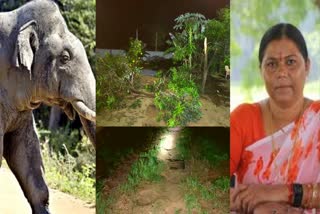 elephant-attacked-in-house-of-mp-gomti-sai-in-jashpur