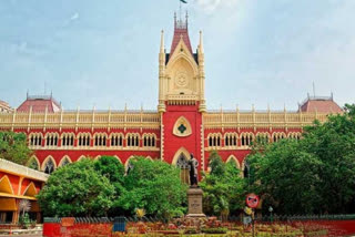 Calcutta HC asks administration to adhere to notification banning Chinese 'manjha'