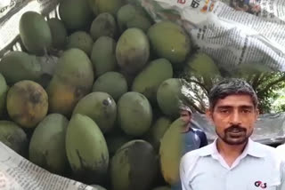 mango contractors facing problem as mango sale stopped in ghaziabad