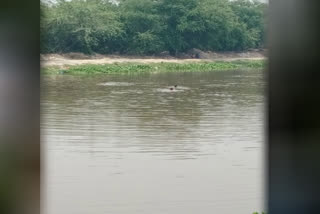 Young man commits suicide by jumping into Yamuna near wazirabad delhi