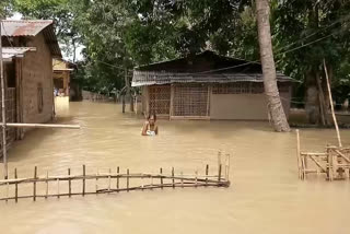 flood or covid, which one is more dangerous for assam