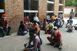 group D employees protest in panjab university