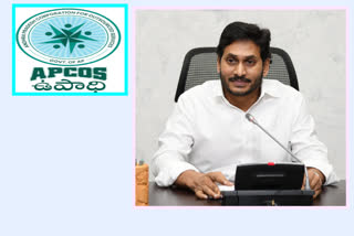 cm jagan