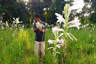 ৰজনীগন্ধাৰ খেতি কৰি বিপাঙত বাক্সাৰ খেতিয়ক