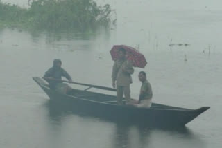 Kaziranga National Park