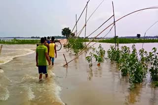 নগাঁৱত নিশাৰী নৈৰ সংহাৰী ৰূপঃ জলমগ্ন বহু গাঁও