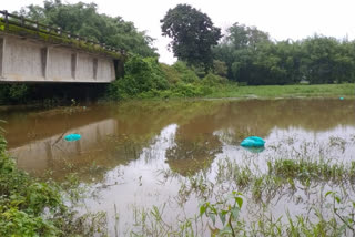 স্থানীয় ৰাইজৰ মাজত তীব্ৰ চাঞ্চল্যৰ সৃষ্টি