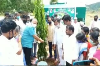 kollapur mla beeram harshavardhan reddy participated in harithaharam programme