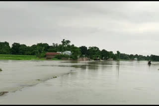 danger level of flood at south salmora and mancachar