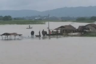 district administration prepared before flood in Sahibganj