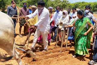 పాలవాయి పొలంబడిలో విత్తనాలు జల్లిన ఎమ్మెల్యే ఉషశ్రీ చరణ్