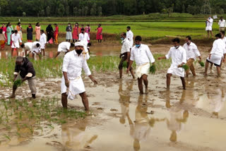 farming