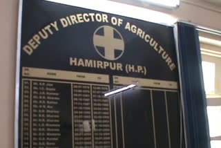 farmers can apply for insurance  hamirpur