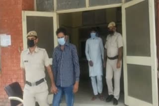 cow smugglers arrest palwal