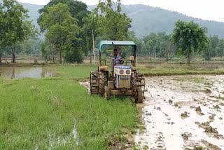 Farmers are not getting fertilizer