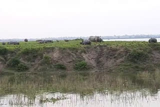 Forest Minister Parimal Suklabaidya Visited Kaziranga Flood Area