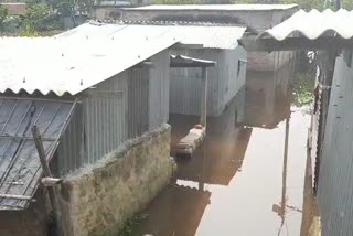 Leaking sluice gate of Kulik river dam causes flood in Raiganj