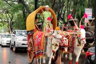 शेतकरी असल्याचा अभिमान...  नवविवाहित दाम्पत्याची वरात बैलगाडीतून नवरदेवाच्या दारात