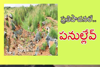 irrigation projects incomplete in tamballapalle constituency chittore district