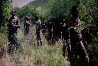 naxal prevention division patrol near western ghats