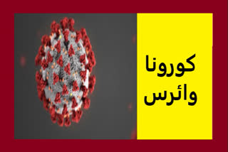 عالمی وبا کورونا وائرس کے پھیلاؤ کا سلسلہ اب بھی جاری ہے، اسی ضمن میں ایک خاتون کی جانچ کے دوران موت ہوگئی ہے